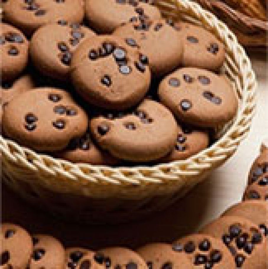 Food Processing Industries
